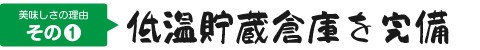 美味しさの理由その① 低温貯蔵倉庫を完備