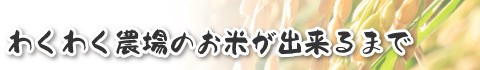 わくわく農場のお米が出来るまで